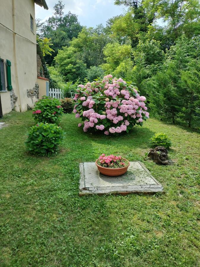 Casa Relax Immersa Nel Verde Della Natura Casalborgone 外观 照片
