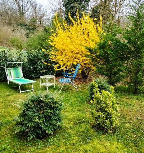 Casa Relax Immersa Nel Verde Della Natura Casalborgone 外观 照片